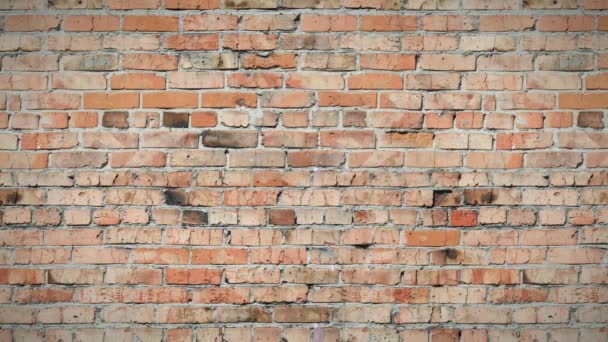 无缝环路 移动背景 旧砖墙 — 图库视频影像