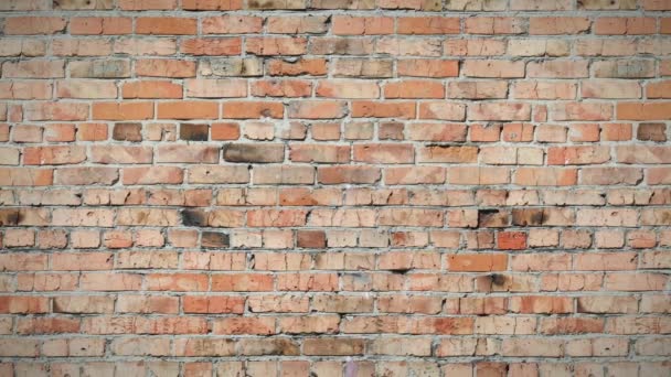Seamless Loop Moving Background Old Brick Wall Stock - Old Brick Wall Images Seamless Loop Moving Background Old Brick Wall Stock - Old Brick Wall Images