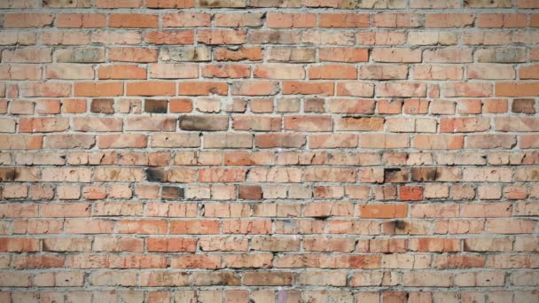 Boucle Transparente Fond Mobile Vieux Mur Briques — Video