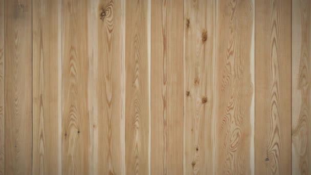 Seamless Loop Moving Background Old Wooden Wall — Stock Video