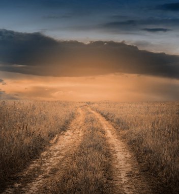 Tarlada gün doğumu