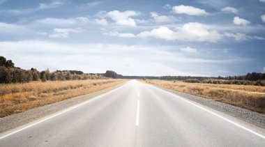 Yol sonbahar alanları