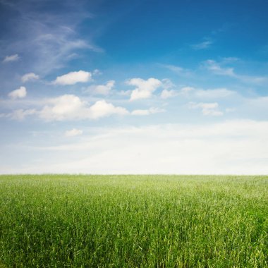 güzel gökyüzü ve yaz alanları 