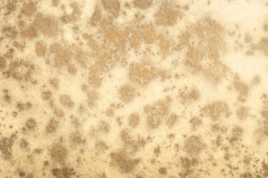 eski kağıt dokusu arkaplanı