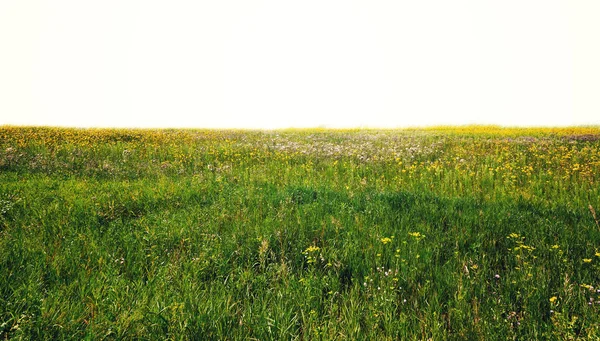 Hermoso cielo y campos —  Fotos de Stock