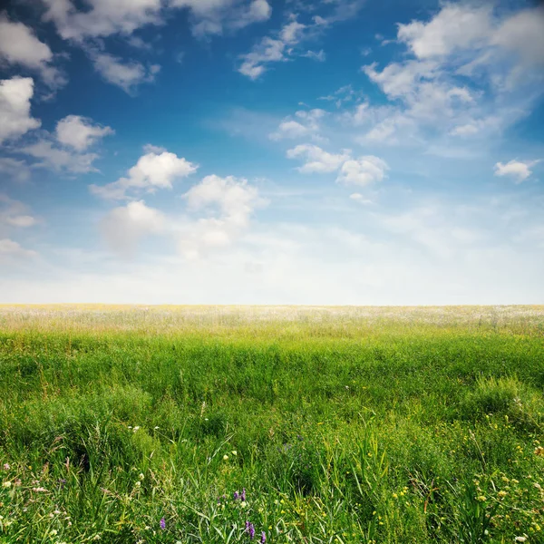 Hermoso Cielo Campos Verano — Foto de Stock