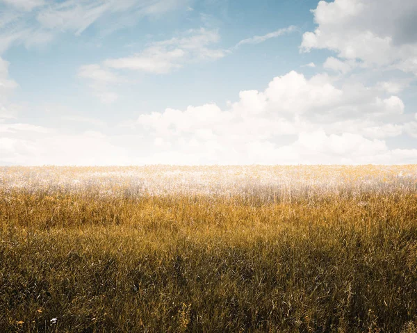 Cielo Campi Autunno — Foto Stock