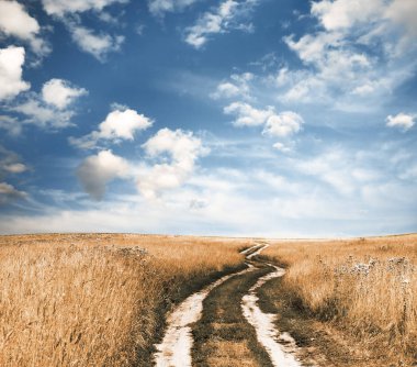 Yol sonbahar alanları