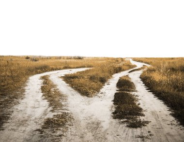 Yol sonbahar alanları