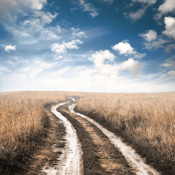 Camino Los Campos Otoño —  Fotos de Stock