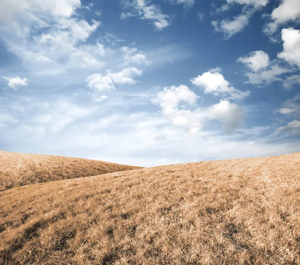 Sky Autumn Fields — Stock Photo, Image