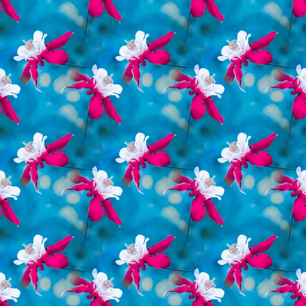 Sømløse Blomster Blomsterbakgrunn – stockfoto