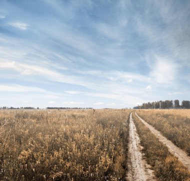 Tarlalarda yol