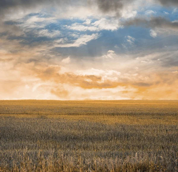 Autumn fields — Stock Photo, Image