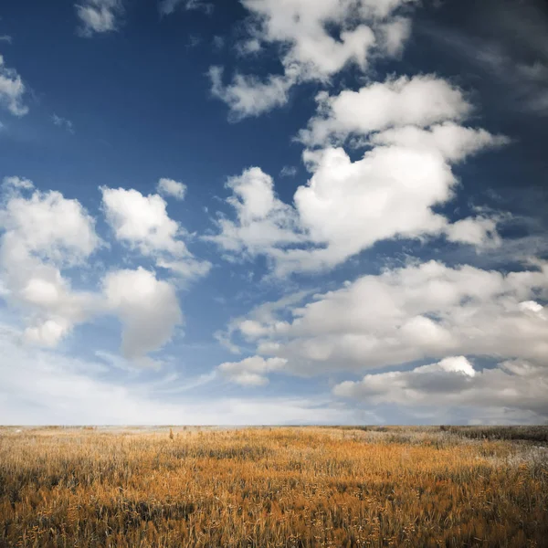 Autumn fields — Stock Photo, Image