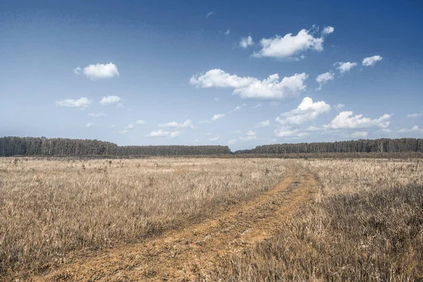 Road in the fields — Stock Photo, Image