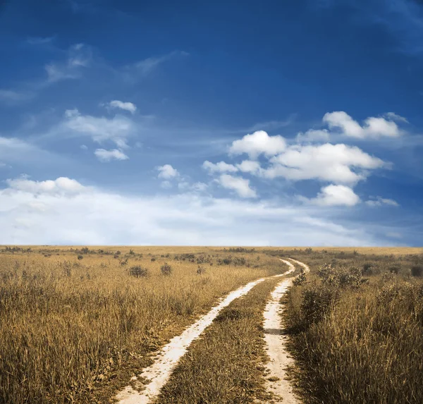 Road in the fields — Stock Photo, Image