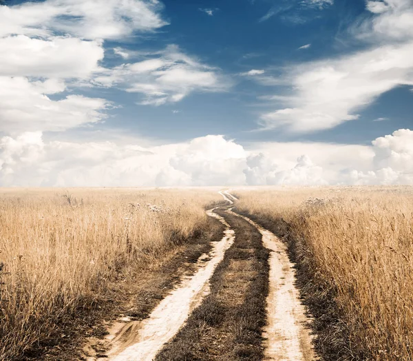 Tarlalarda yol — Stok fotoğraf