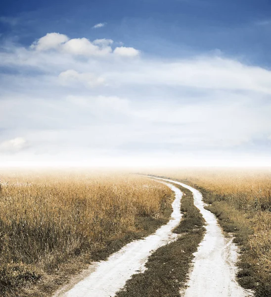 Road in the fields — Stock Photo, Image