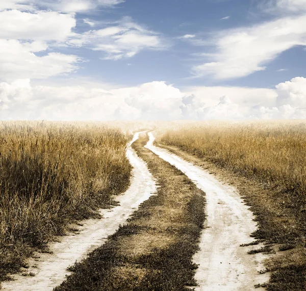 Straße in den Feldern — Stockfoto