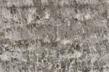 Beton duvar
