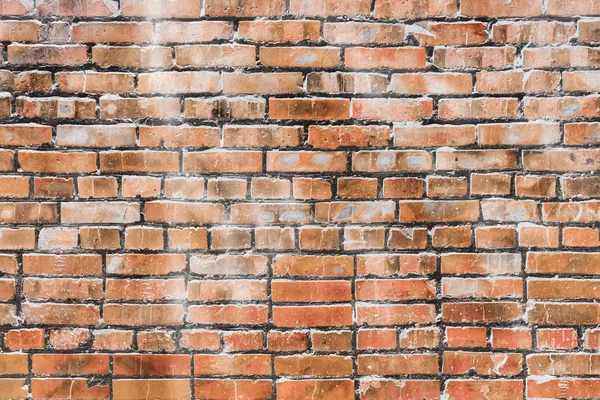 Bakstenen muur — Stockfoto