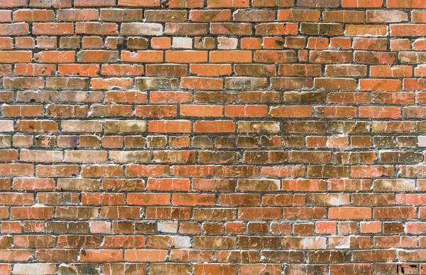 Brick wall — Stock Photo, Image