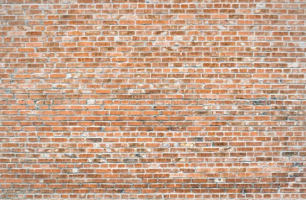 Muro de ladrillo —  Fotos de Stock