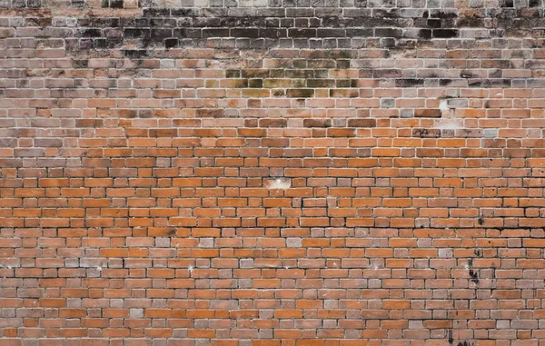 Brick wall — Stock Photo, Image