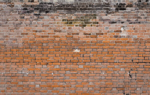 brick wall