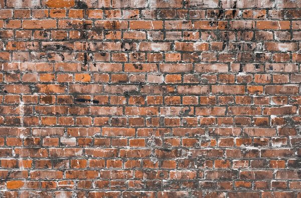 brick wall