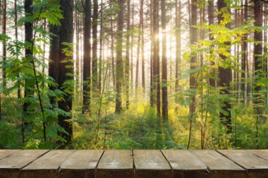 orman arka plan ile ahşap masa