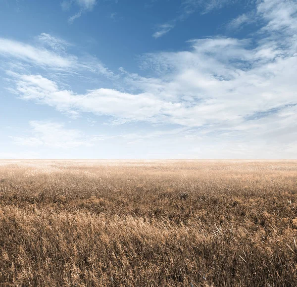 Céu Campos Outono — Fotografia de Stock