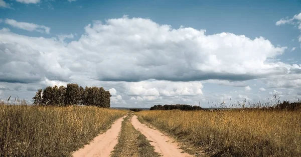秋天的田野里的路 — 图库照片