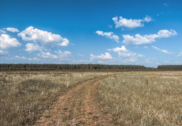 Дорога Осенних Полях — стоковое фото