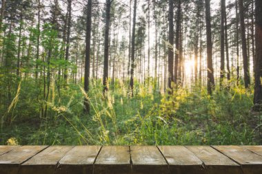 orman arka plan ile ahşap masa