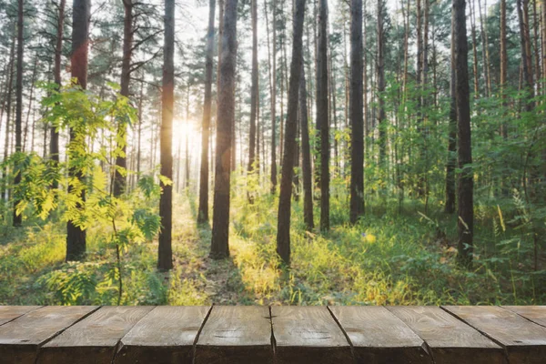 Holztisch Mit Waldhintergrund — Stockfoto