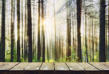 orman arka plan ile ahşap masa