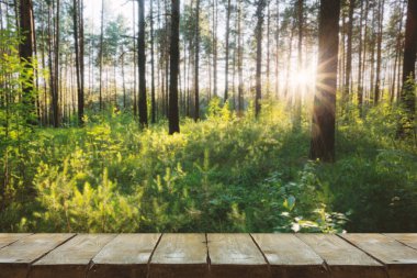 orman arka plan ile ahşap masa