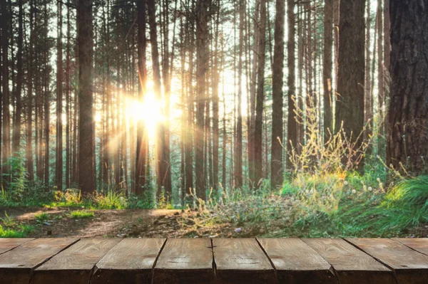 Sonnenuntergang — Stockfoto