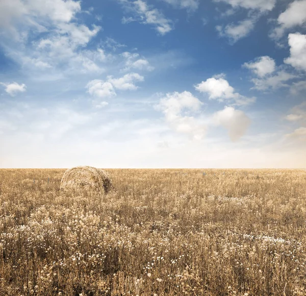 Campos de outono — Fotografia de Stock