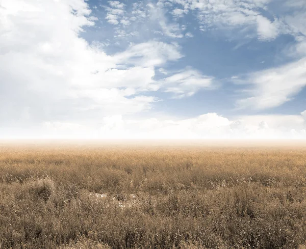 Campos de otoño — Foto de Stock