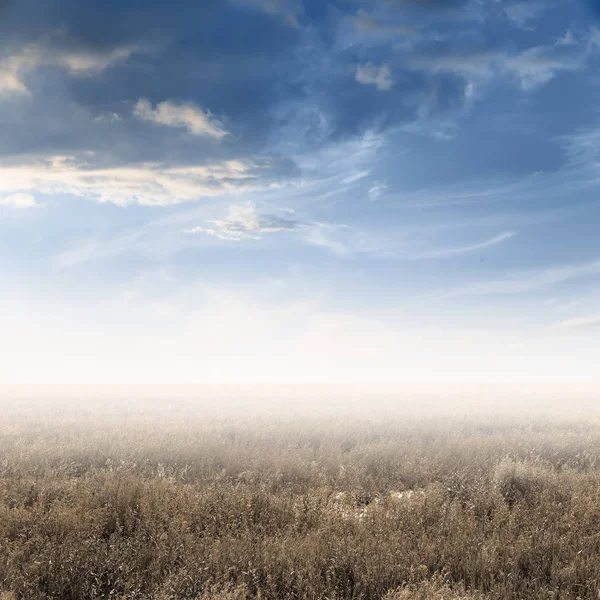 Autumn fields — Stock Photo, Image