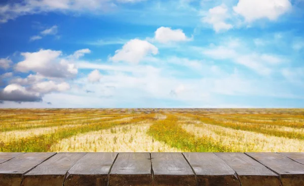 Tabel met veld — Stockfoto