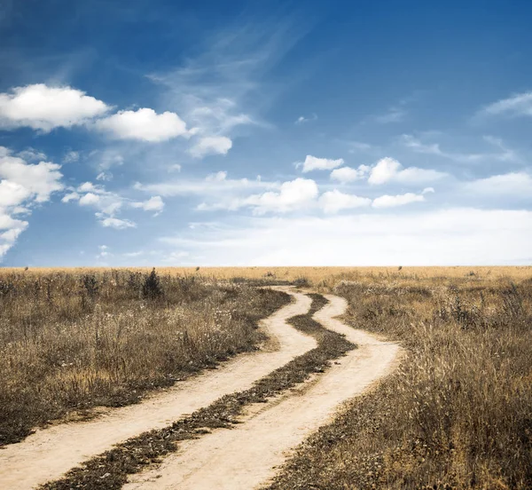 Tarlalarda yol — Stok fotoğraf