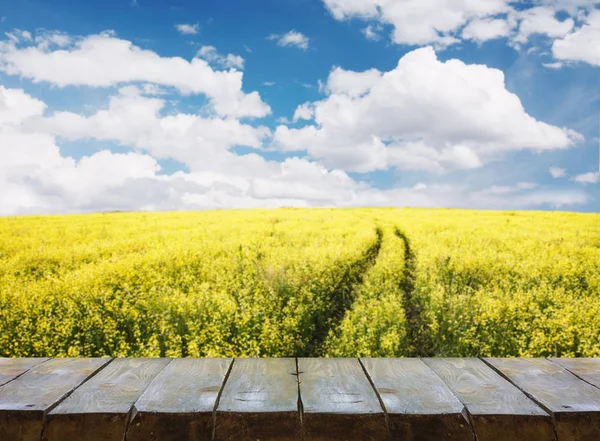 Tabela com campo — Fotografia de Stock