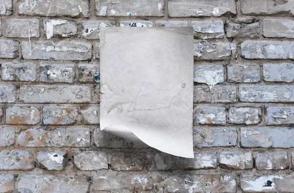 Papper på väggen — Stockfoto