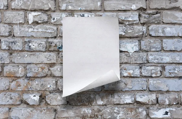 Papel na parede — Fotografia de Stock
