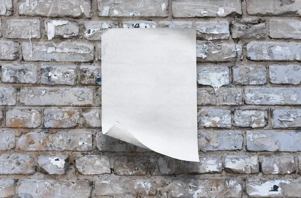 Papier op de muur — Stockfoto