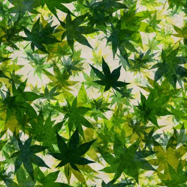 sorunsuz geçmiş sonbahar yaprakları